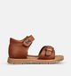 STONES and BONES Luck Cognac Sandalen voor jongens (369664)