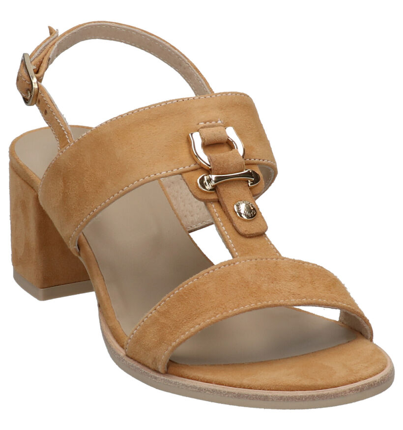 NeroGiardini Sandales en Cognac en nubuck (270565)