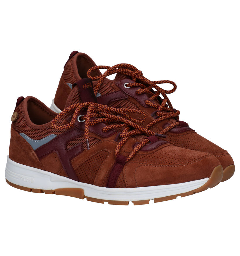 Faguo Willowsocks Cognac Sneakers in daim (280265)