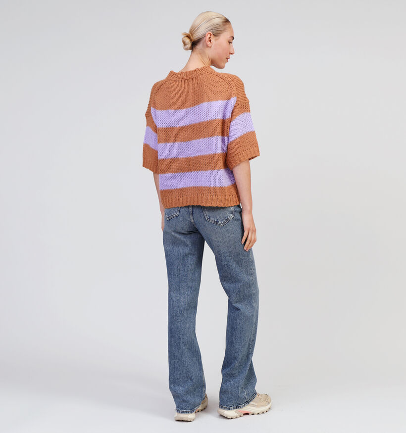 Expresso Paarse Gestreepte trui voor dames (351049)
