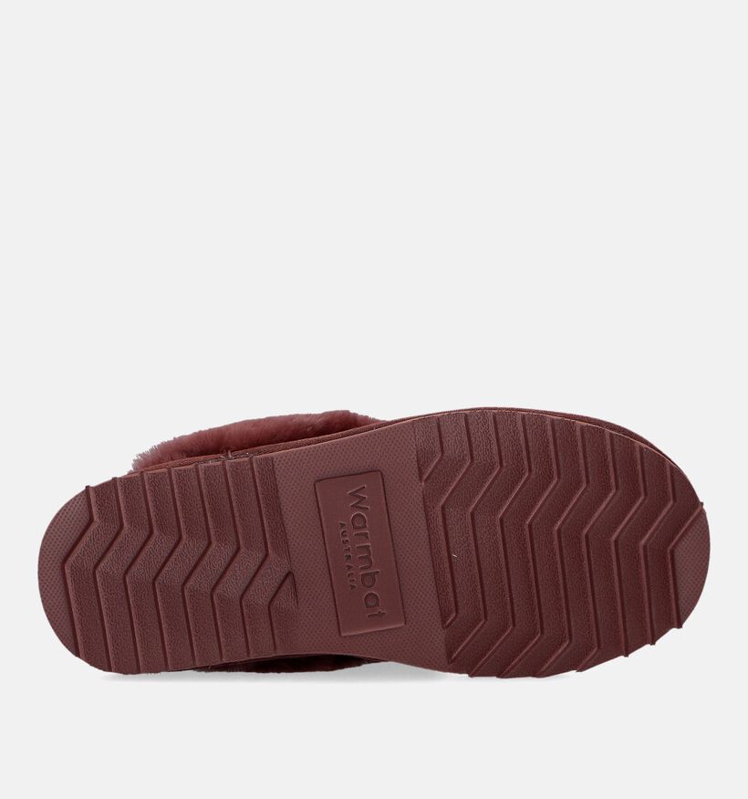 Warmbat Flurry Cognac Wollen Pantoffels voor dames (329908)