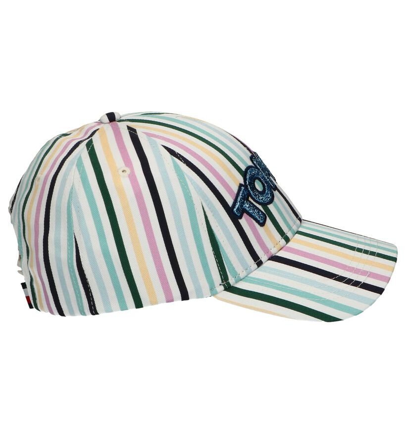 Tommy Hilfiger Casquettes en Multicolore (241872)