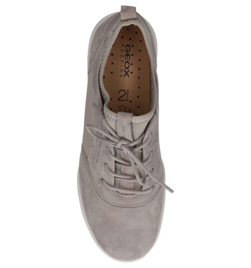 Geox Baskets basses en Gris clair en daim (220211)