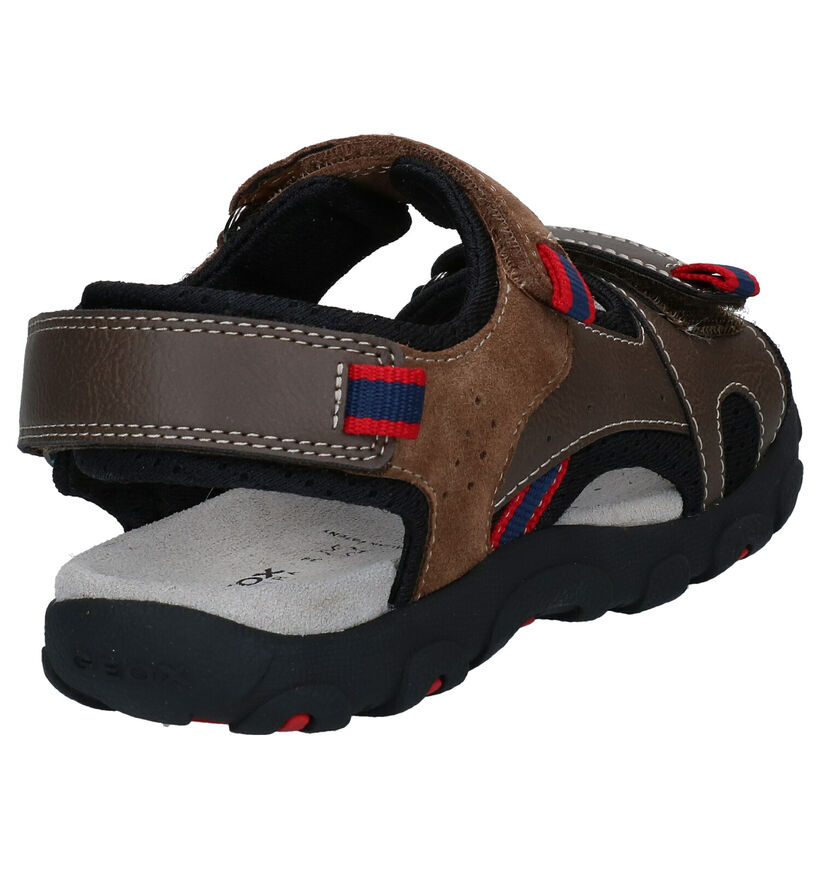 Geox Bruine Sandalen in kunstleer (286966)