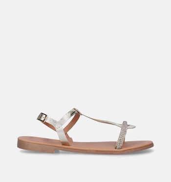 Sandalen goud