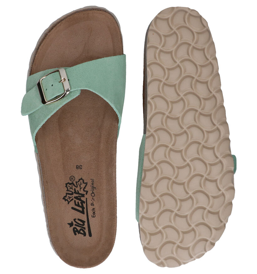 Big Leaf Groene Slippers in nubuck (292593)