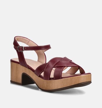 Wonders Sandales Bordeaux