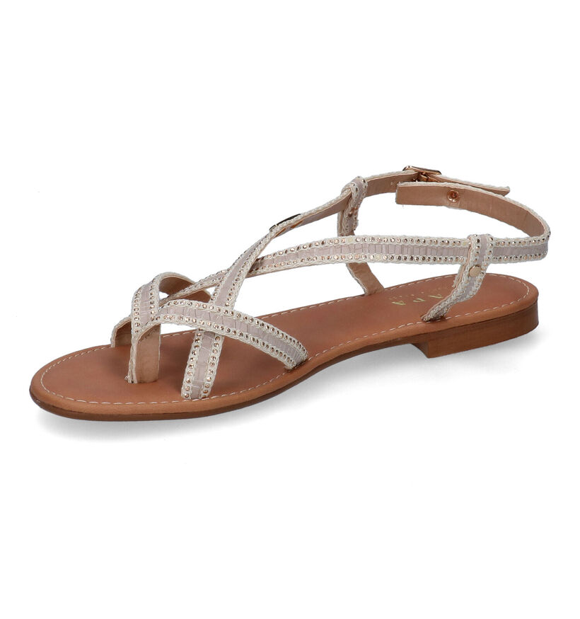 Scapa Roze Sandalen voor dames (307066)