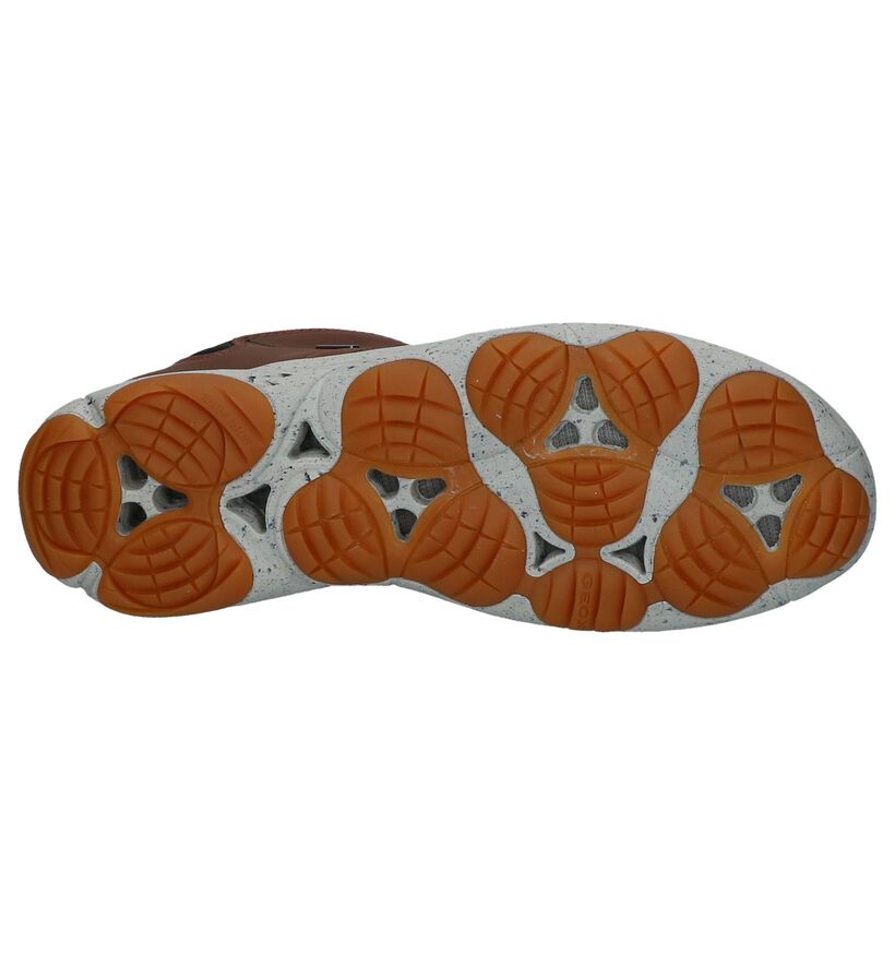 Geox Chaussures hautes en Cognac en cuir (223484)