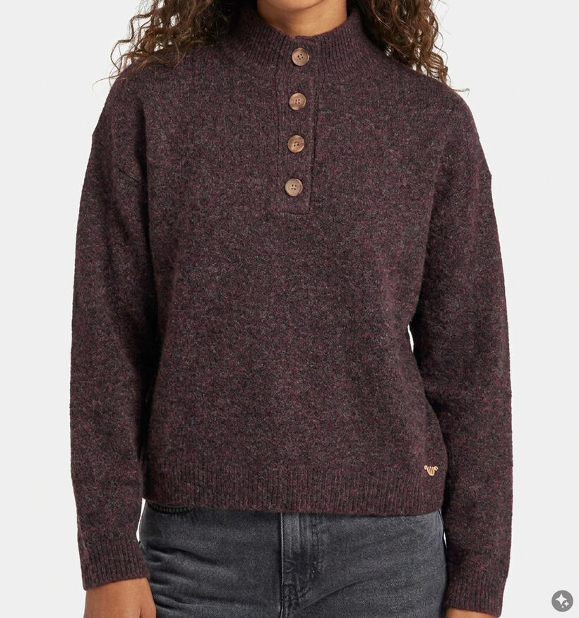 Orfeo Nathanielle Bordeaux Trui voor dames (381661)