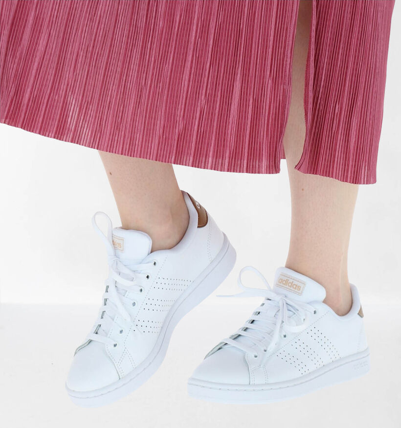 adidas Advantage Baskets en Blanc en cuir (284790)
