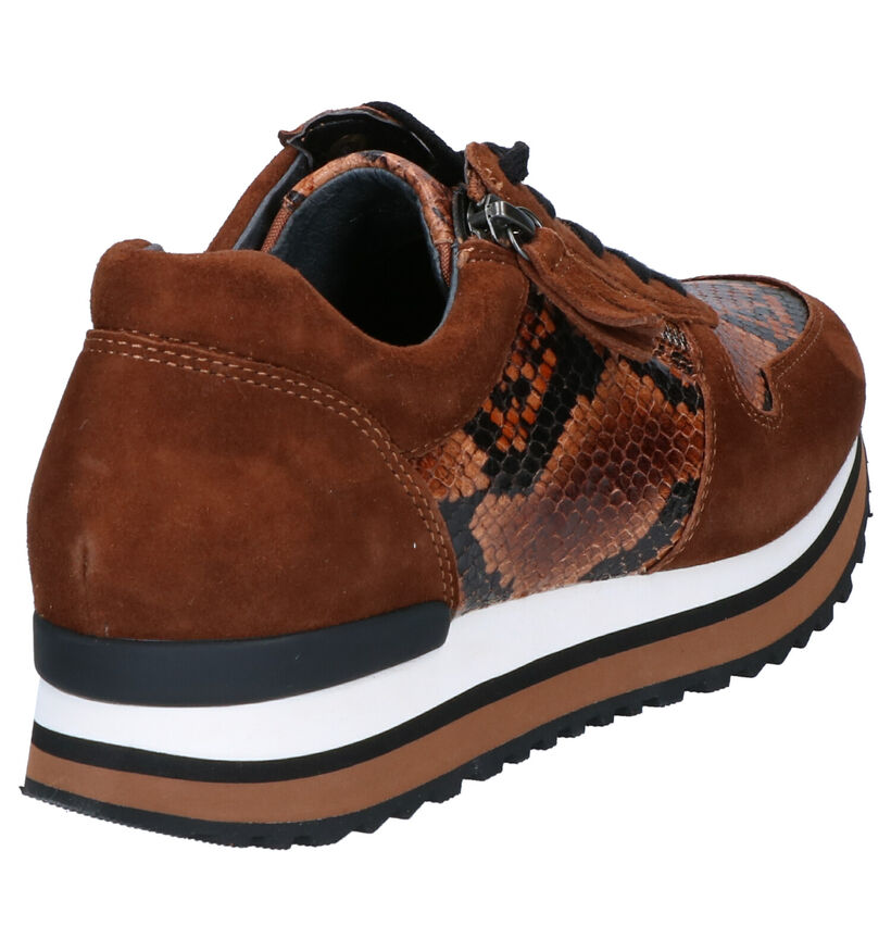 Gabor OptiFit Cognac Sneakers in daim (260223)