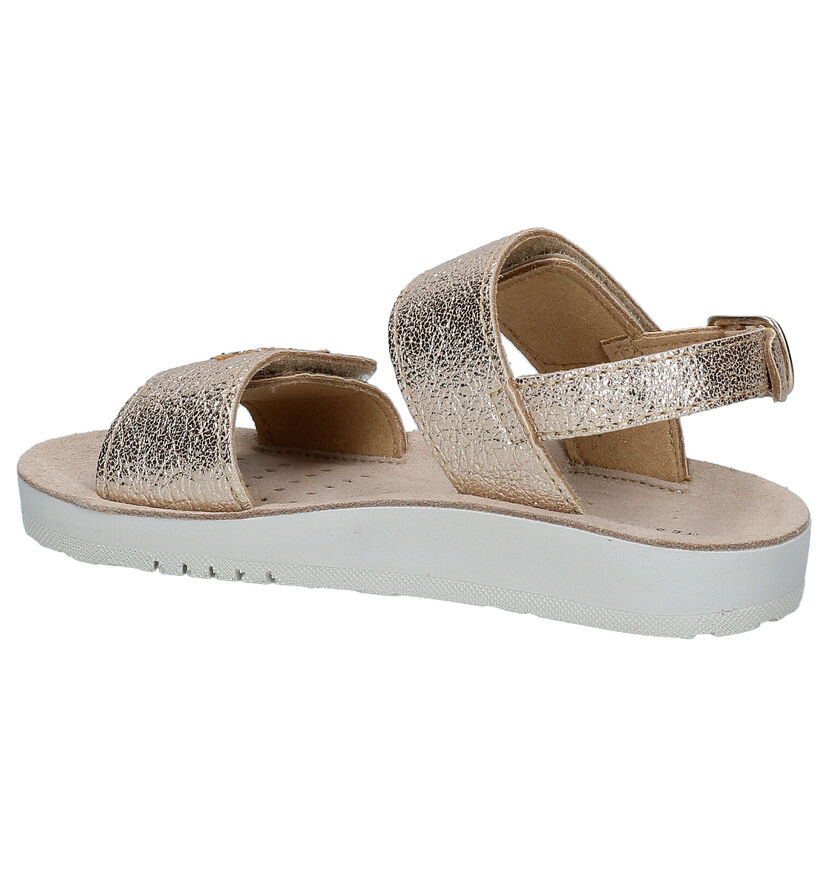 Geox Costarei Sandales en Or pour filles (304900)