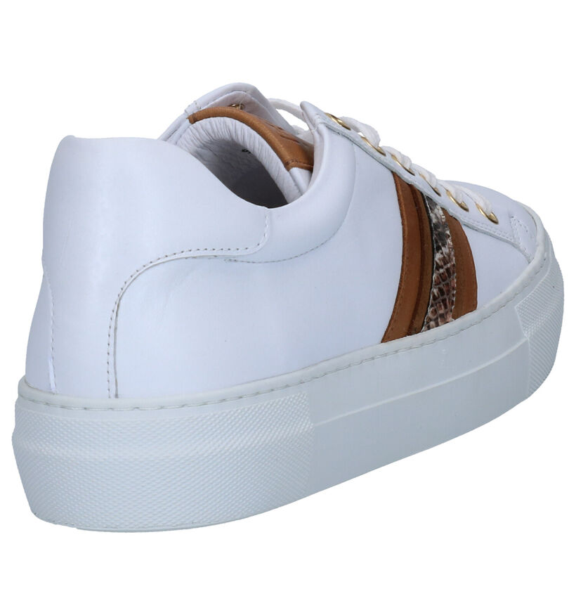Hampton Bays Witte Sneakers in leer (275164)