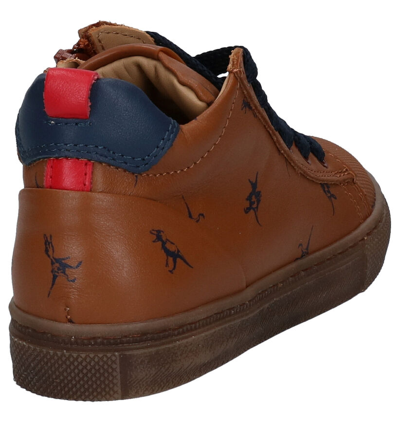 Stones and Bones Trust Blauwe Bottines met dino's voor jongens (313831) - geschikt voor steunzolen