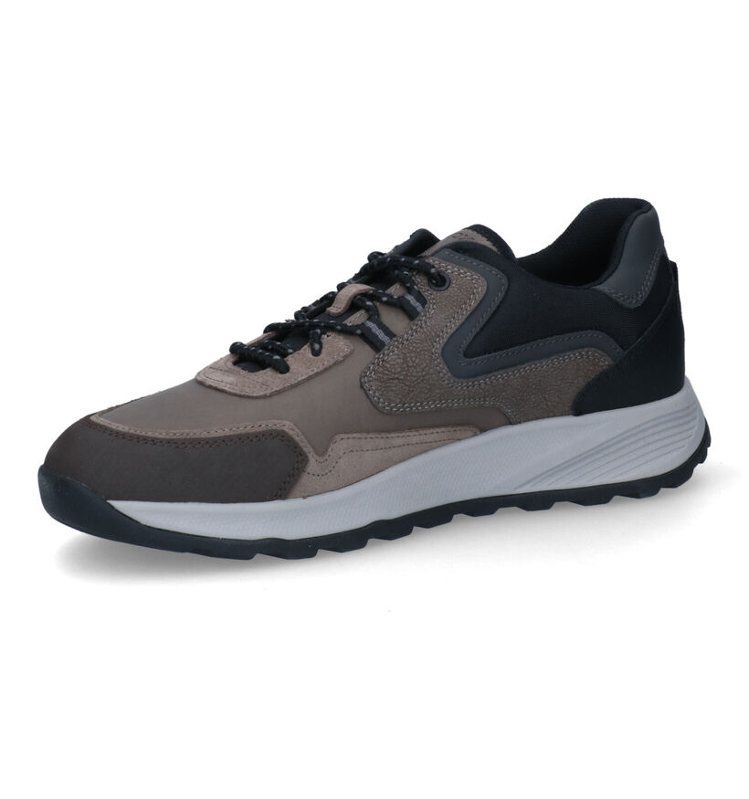 Geox Terrestre Chaussures à lacets en Gris pour hommes (312689) - pour semelles orthopédiques