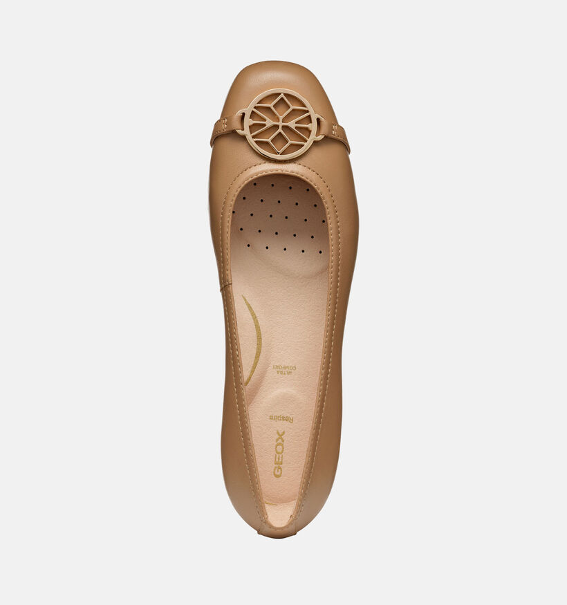 Geox Annytah Bruine Ballerina's voor dames (353760)