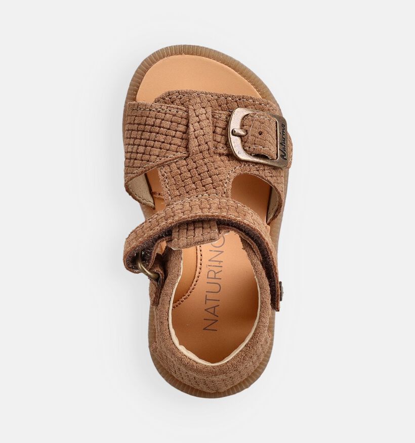 Naturino Quarzo Sandales pour b&eacute;b&eacute; en Cognac pour filles, gar&ccedil;ons (371617)
