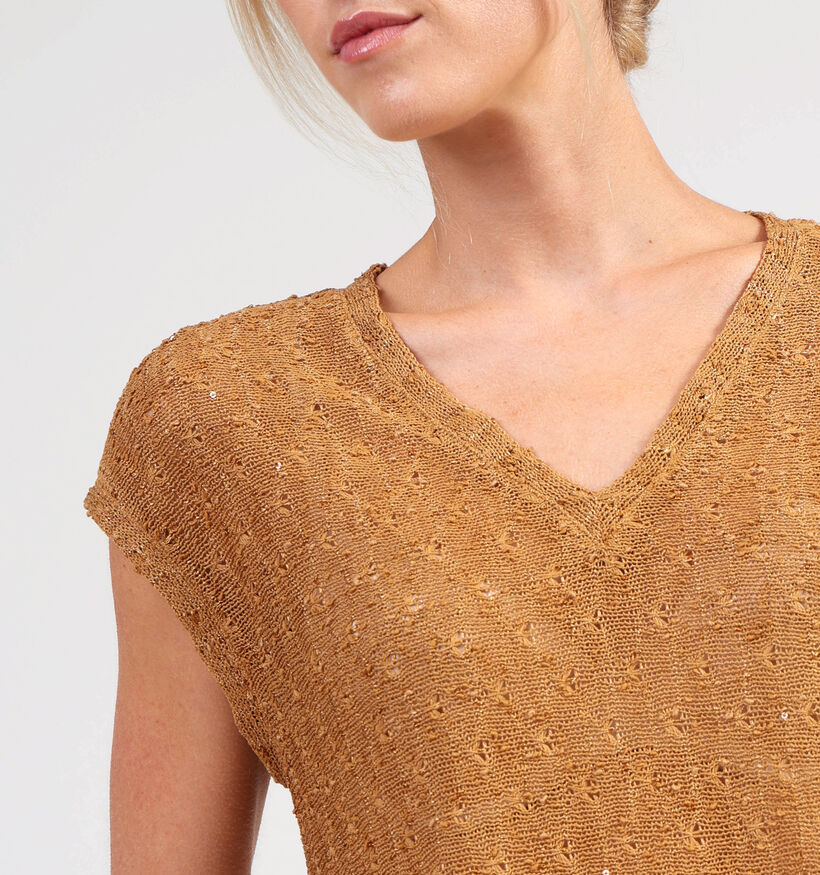 Vila Vilimmi V-Neck Glitter Top Bruine T-shirt voor dames (361355)