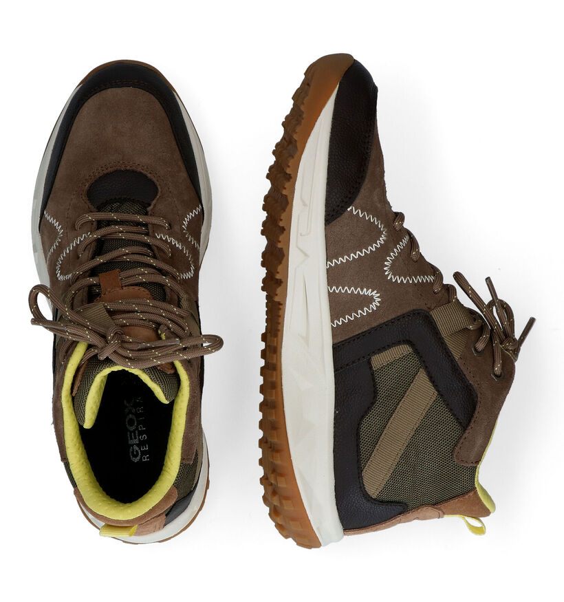 Geox Delray Chaussures de randonnée en Taupe en textile (294809)