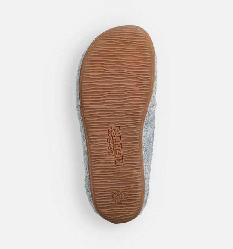 Living Kitzbühel Grijze Pantoffels voor jongens, meisjes (365723)
