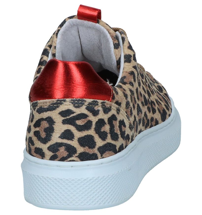 Bullboxer Baskets habillées en Multicolore en nubuck (248689)