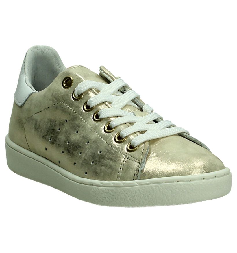 Zilveren Sneaker Hampton Bays in leer (189348)