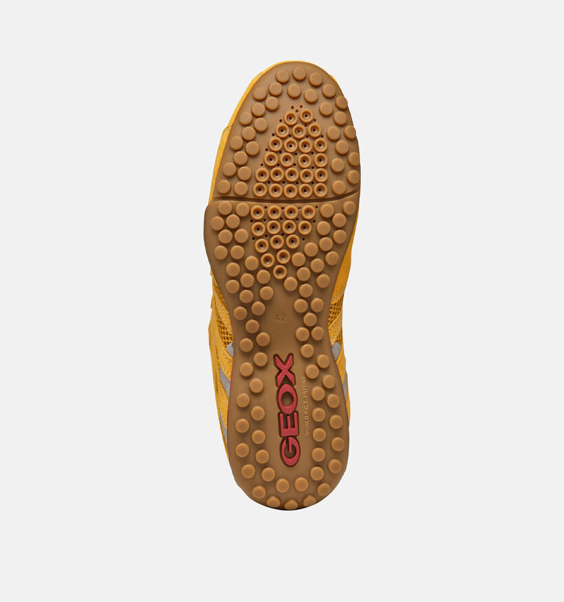 Geox Snake Original Baskets en Jaune pour hommes (369121) - pour semelles orthop&eacute;diques