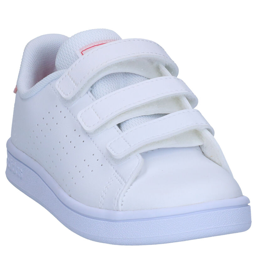 adidas Advantage C Witte Sneakers voor meisjes (319539) - geschikt voor steunzolen