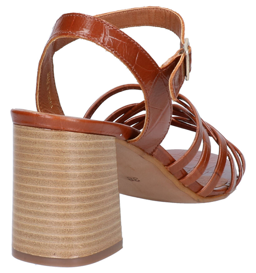 Hampton Bays Cognac Sandalen in leer (272620)