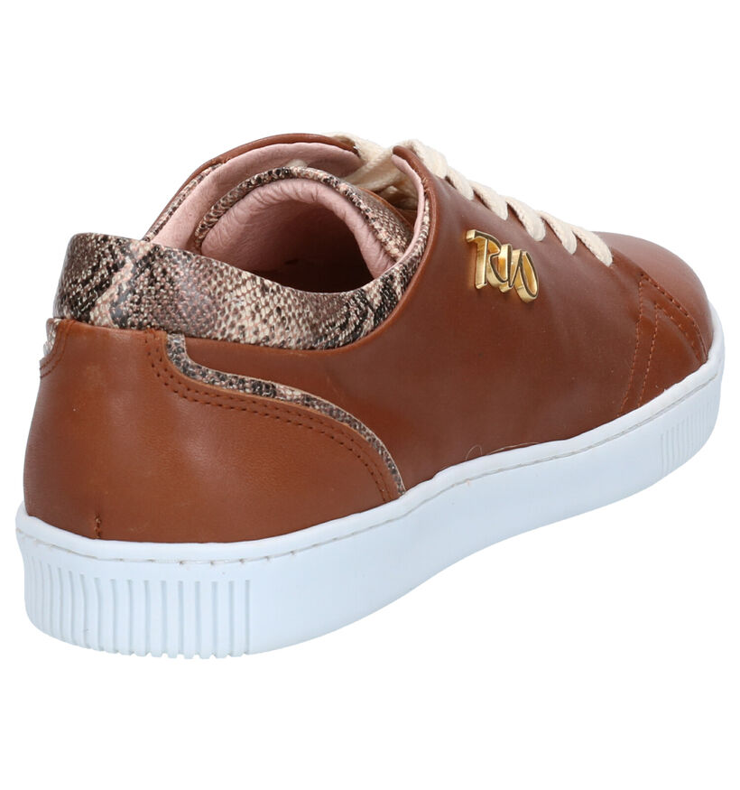 River Woods Ambra Chaussures à Lacets en Cognac en cuir (271157)