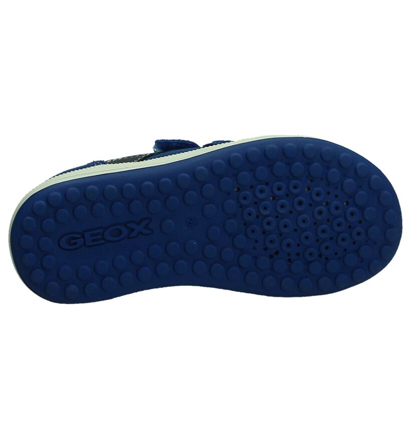 Geox Chaussures basses en Bleu en daim (190651)