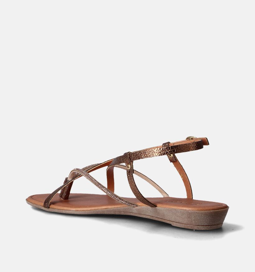 Scapa Sandales plates en Marron pour femmes (355476)