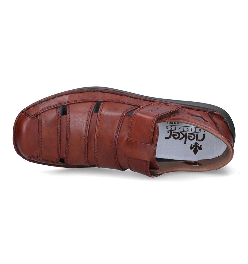 Rieker Sandales en Marron pour hommes (339184)