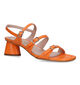 Lodi Ilu Oranje Sandalen voor dames (324904)