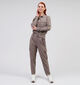 Expresso Taupe Cargo broek voor dames (356855)