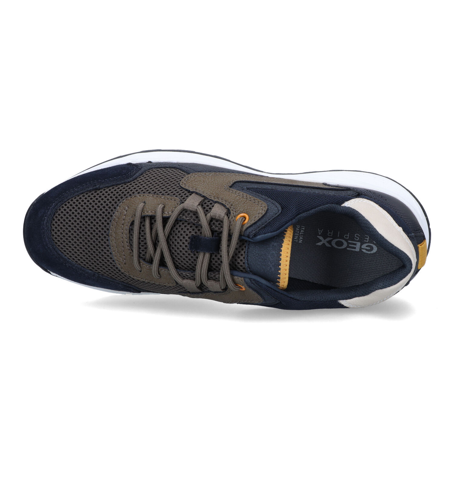 Torfs new arrivals geox heren