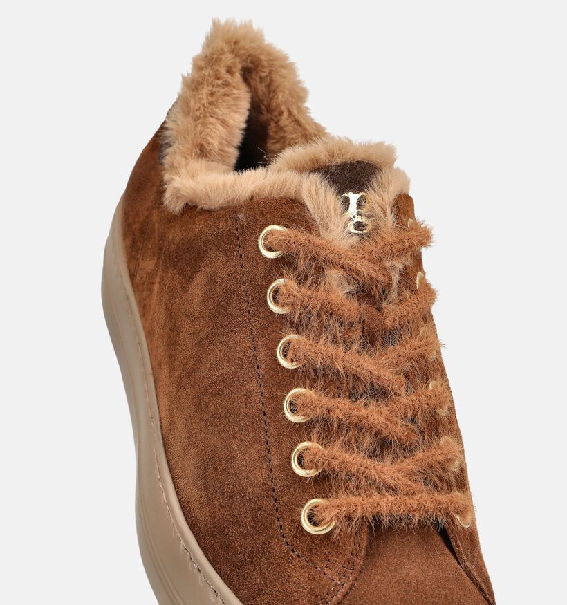 Paul Green Baskets en Marron pour femmes (379785)