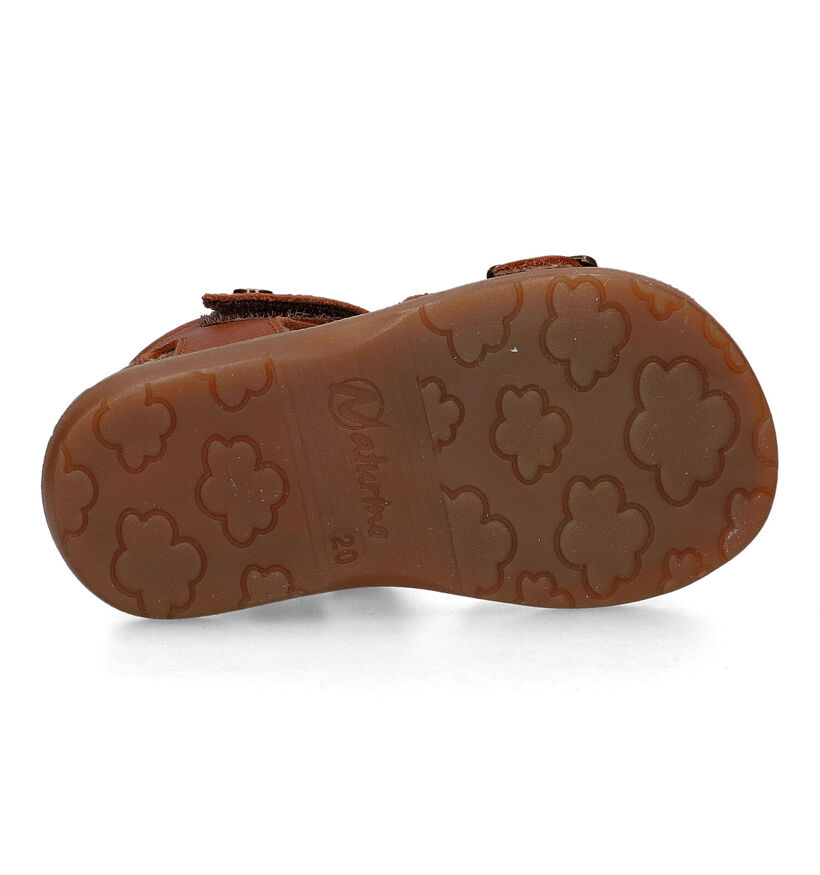 Naturino Quarzo Sandales pour bébé en Orange pour garçons, filles (339268)