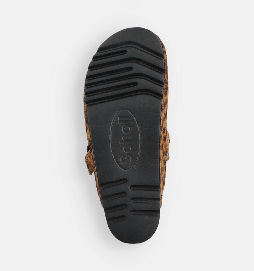 Scholl Bruine/Leopard Gesloten Slippers voor dames (364555)