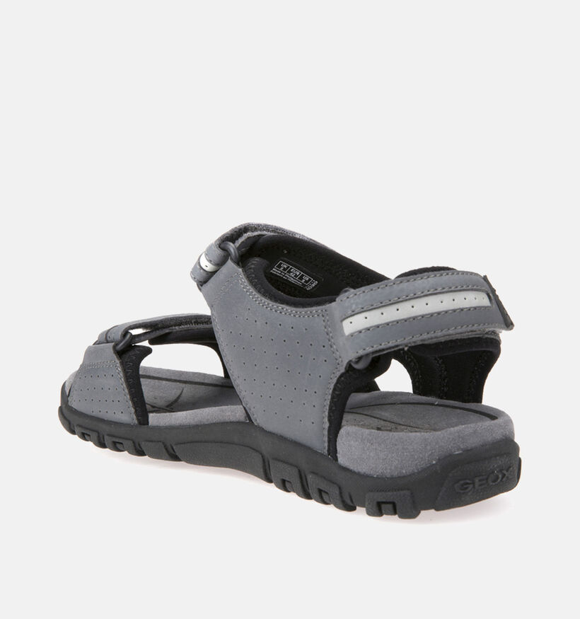 Geox Uomo Sandales de marche en Gris pour hommes (353854)