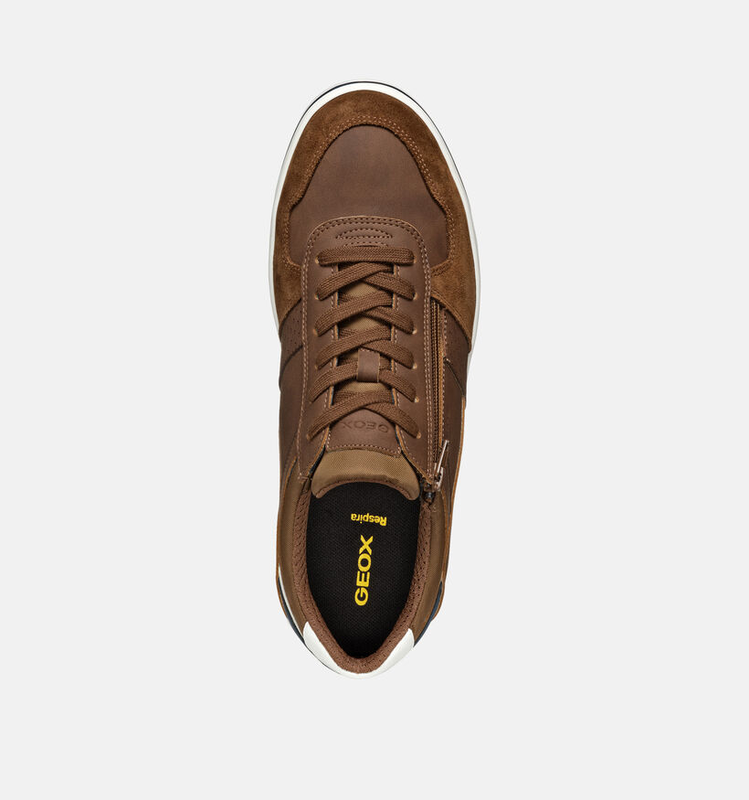 Geox Elver Chaussures à Lacets en Brun pour hommes (351614) - pour semelles orthopédiques