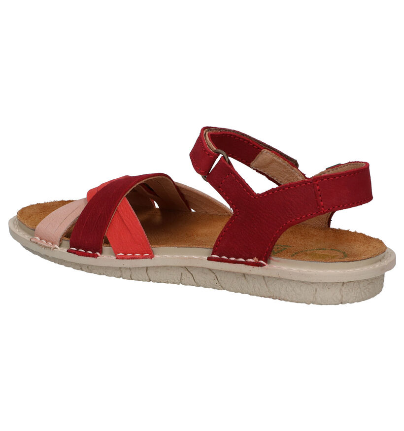 El Naturalista Terra Gele Sandalen in nubuck (288645)