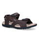 Geox Strada Bruine Sandalen in kunstleer (322257)