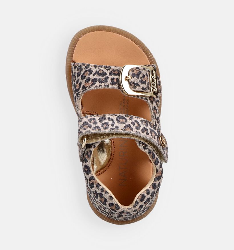 Naturino Revion Jaguar Sandales pour b&eacute;b&eacute; en Marron pour filles (372506)