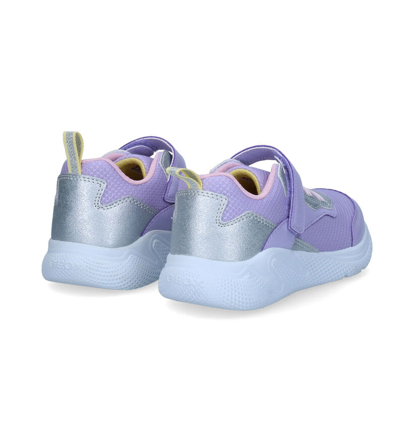 Geox Sprintye Baskets en Violet en synthétique (311010)