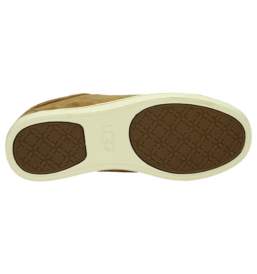UGG Baskets basses en Cognac en daim (180775)