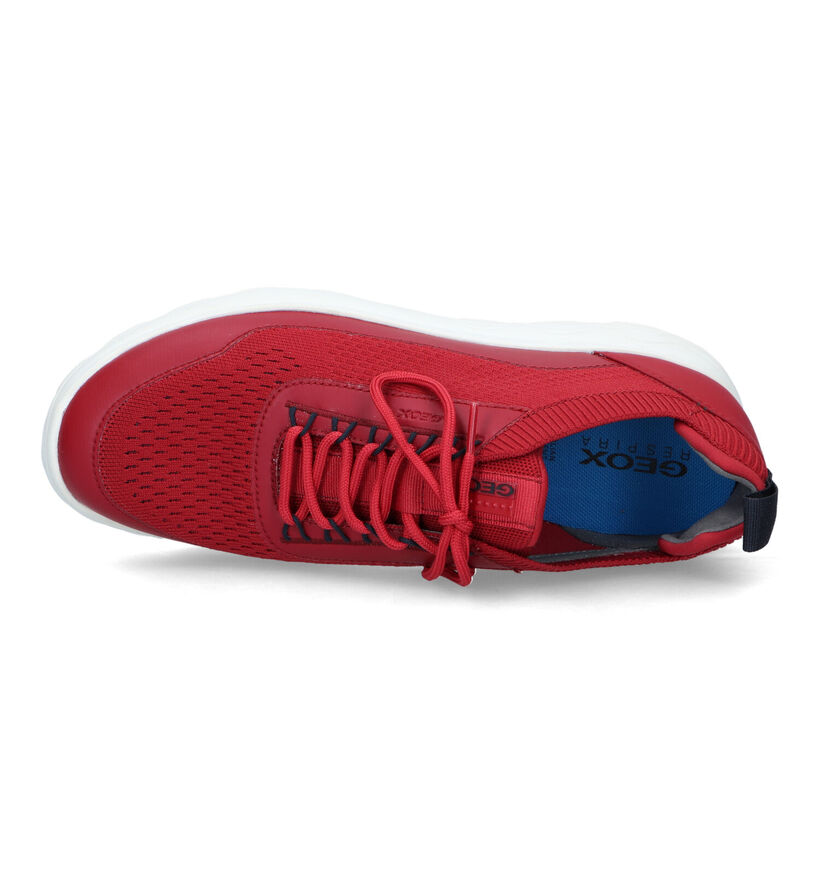 Geox Spherica Blauwe Sneakers voor heren (326742) - geschikt voor steunzolen