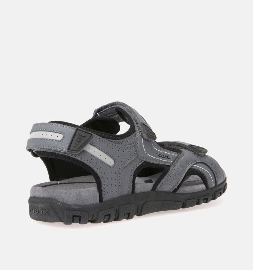 Geox Uomo Sandales de marche en Gris pour hommes (353854)
