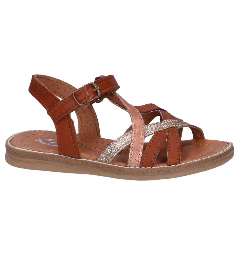 Cognac Sandalen Little David Rainbow in leer (247640)